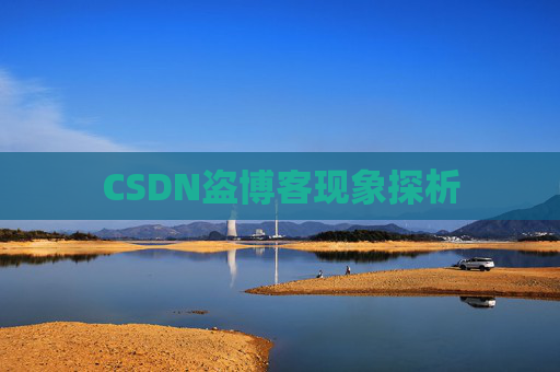 CSDN盗博客现象探析